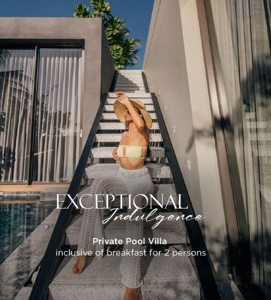 Exceptional Indulgence