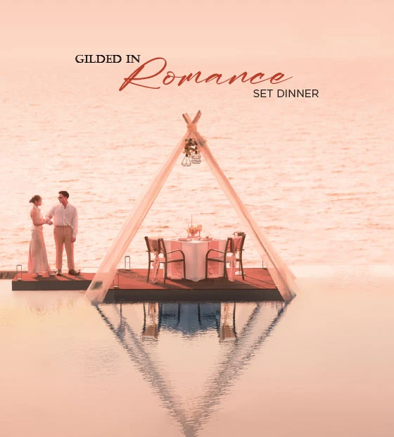 GILDED IN ROMANCE SET DINNER