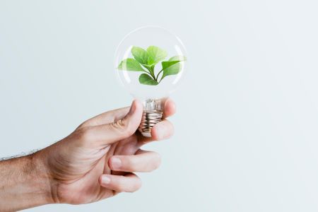 Sustainably Conscious 5 - Sustainability02