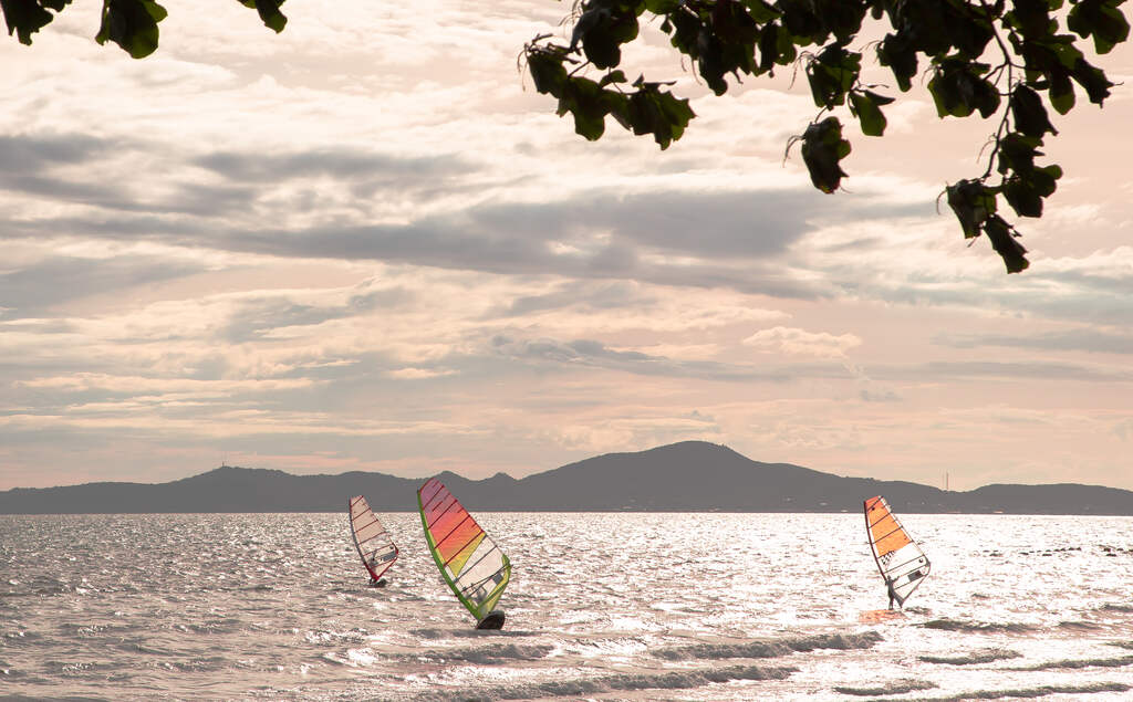 Activity: Learn how to windsurf in Chon Buri.