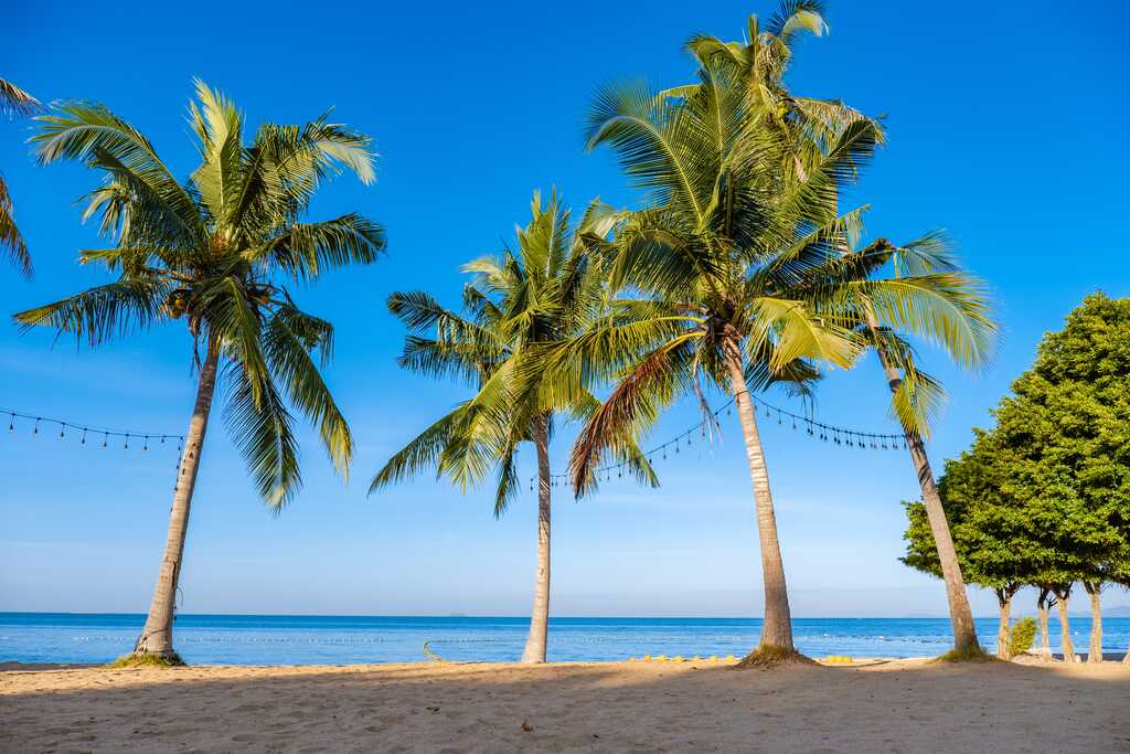 Na Jomtien Beach in Pattaya