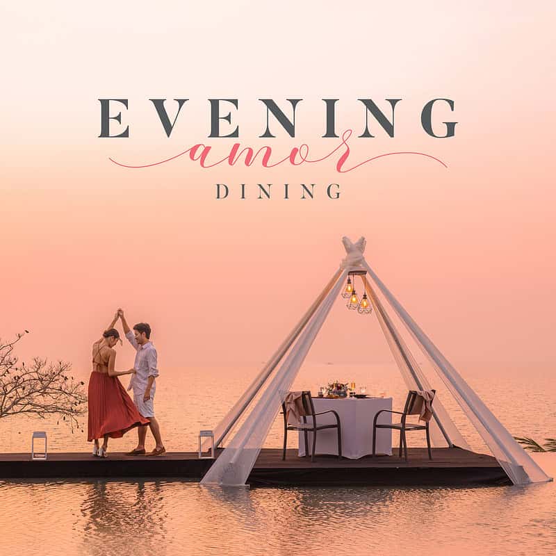 Special Offers PaG 5 - MASON Evening Amor Dining WebBanner